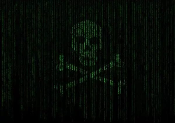 hacker pirate binary skull