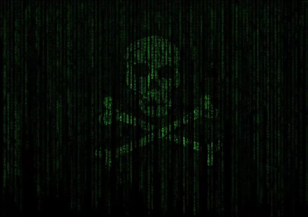 hacker pirate binary skull